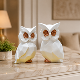 Sacred Wisdom & Protection Owl Pair