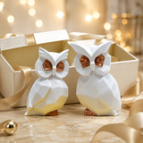 Sacred Wisdom & Protection Owl Pair