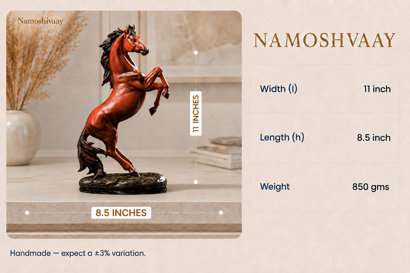 Royal Victory Stallion dimensions
