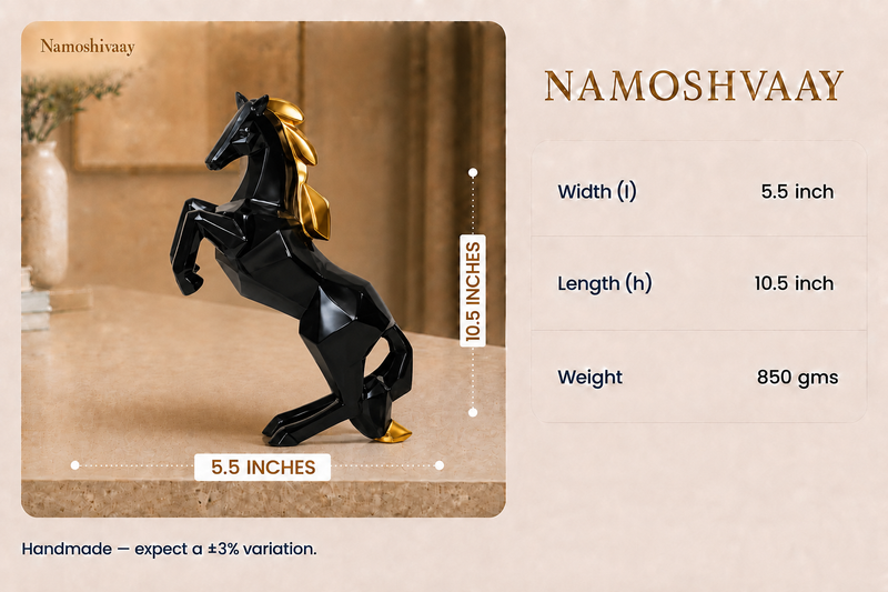 Royal Black Fortune Stallion dimensions