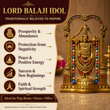 Lord Balaji (Srinivasa) Idol - Antique Finish (8 Inch)