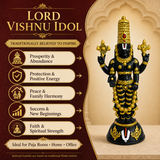 Lord Tirupati Balaji Idol