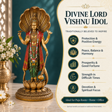 Standing Lord Vishnu with Sheshnag Idol