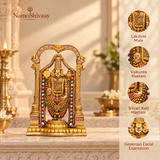 Lord Balaji (Srinivasa) Idol - Antique Finish (8 Inch)