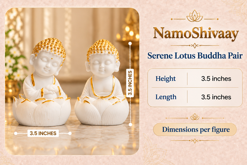 Lotus Buddha Pair – White & Gold dimensions